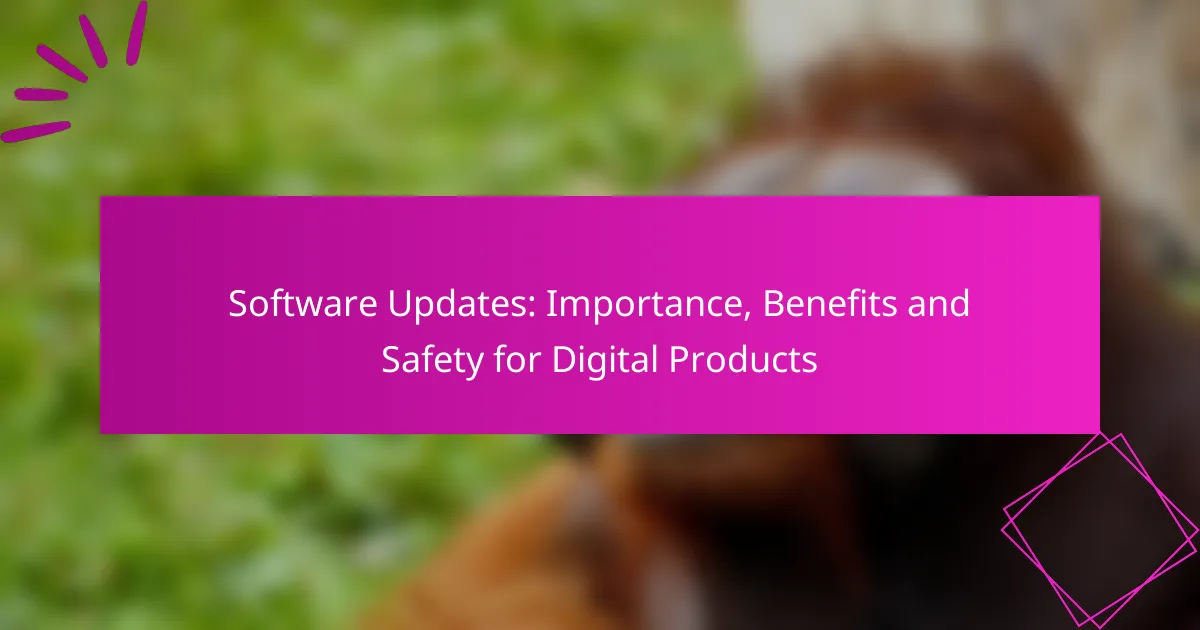 Software Updates: Importance, Benefits and Safety for Digital Products