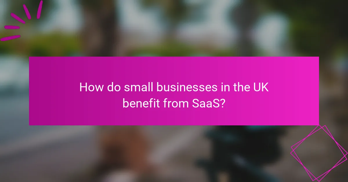 How do small businesses in the UK benefit from SaaS?