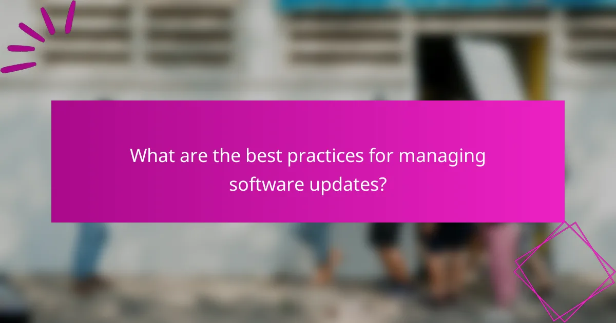 What are the best practices for managing software updates?