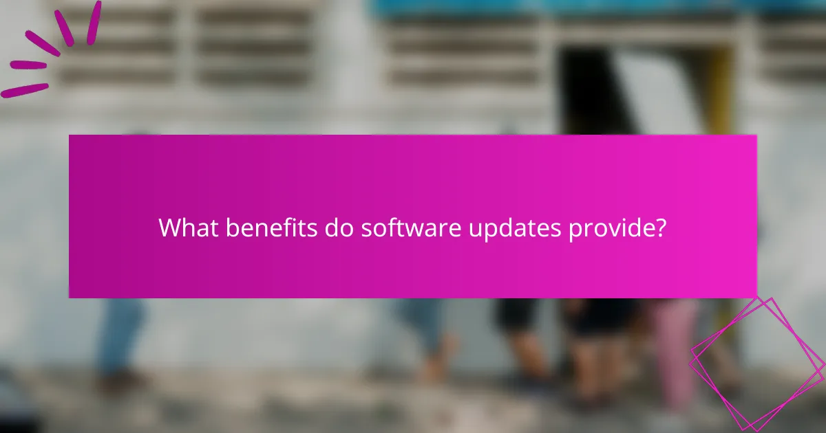 What benefits do software updates provide?